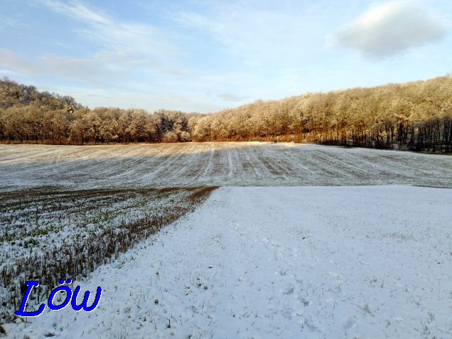 6.1.2021 - Schnee in Gießhübl